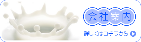 会社案内